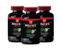 Saw Palmetto for Prostate Wellness - Prostate Support - Pygeum for Prostate, Red Raspberry for Prostate, Graviola for Immune Support, Green Tea for Men’s Health, Stinging 3 Bottles 180 Capsules