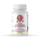 Pin Up Girl Vitex Chasteberry + DIM & Shatavari – Hormonal Balance Supplement for Women – Supports Hormonal Balance, Cycle Health & Reproductive Wellness – 4600mg - 60 Capsules