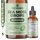 True SeaMoss 3000mg 爱尔兰海 Moss Drops with Burdock Root & Bladderwrack 用于消化系统和肌肉恢复支持 - 2 Fl Oz Apple NW1