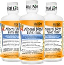 Fulvic Humic Mineral Blend Liquid 3-Pack – Fulvic Acid 补充70+ Trace Minerals, 用于回收、平衡和能源的电解质, 32 Oz Ea + 1 Oz Cup Ea