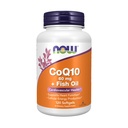 现在食品补充品,CoQ10 60毫克,与Omega 3鱼油,心血管健康*,120软胶