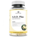 天然还原S.O.D.超氧化物Dismutaase补编,4 000 IU SOD-Like Action, Vegan, 90 Capsules, Non-GMO, Gluten Free