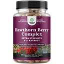 Hawthorn Berry Capsules - 纯抗氧化剂 Hawthorn Berry 配有 Leaf & Flower 摘录 4:1 健康心与文摘 - 男女能源支持 - 240 计数包