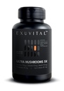 5 Mushroom Complex – Lion’s Mane, Reishi, Cordyceps, Maitake & Shiitake – Immune Support, Energy & Stress Balance – Vegan, Non‑GMO, Gluten Free – 60 Capsules (2‑Month Supply)