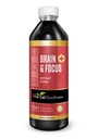 Herbal Goodness Brain and Focus - Nootropic Brain Supplement, Immune System Booster, Brain Health - Gingko, Graviola, Lion's Mane - Non-GMO, Natural - 12oz - 23 Servings