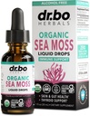 Irish Sea Moss Liquid Drops - Pure Organic Seamoss Liquid Drops for Immune, Skin & Gut Health Support - Vegan Seamoss Oil Gel Tincture, Chondrus Crispus Organic Sea Moss Gel Oil for Adults & Kids 1 Oz