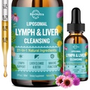 Liposomal Lymphatic 排水液滴,Liver Cleanse Detox & 维修液体补充物 牛奶硝酸盐,Dandelion,Burdock Root & Echinacea - Lymph & Liver Detox,抗氧化剂,天然火焰2 Fl Oz