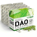 MAX DAO Enzyme 补充 120 个平板电脑,每平板电脑可调整剂量50 000 HDU, 扩展释放, 异胺阻塞器