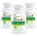 DAO 补充 Histamine 阻断剂 — DAO Enzyme + Diamine Oxidase 和 Quercetin, Immortelle, 维生素C 用于Gut 健康和食品支持 180 Capsules