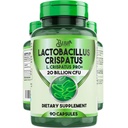 BLIVA Crispatus Capsules – LCrispatus – 20亿 CMFU 人均服务 – 最高 CMFU 伯爵 L. Crispatus 女性补充 – 支持阴道和消化性健康 – 90个Capsules