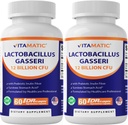 维他命乳酸乳糖(Gasseri) - 每DR Capsule 12亿元 - 60计 - 消化支持 - 用预生胰岛素纤维制成 - 2包