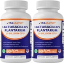 维他命性乳酸乳糖(Plantarum) - 每DR Capsule 20亿元 - 60计 - 消化支持 - 用预生胰岛素纤维2包制成