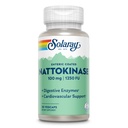 SOLARAY NATTOKINase 补编 - NATTOKINase 100mg, 1,250 FU - 传统健康支助补编 - 实验室验证,60天保障 - 30名服务员,30名蔬菜