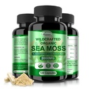 爱尔兰海 Moss Capsules 120cmt Raw Sea Moss 野生的 Bladderwrack Burdock 根 Capsules 超级食物免疫系统 消化型健康海 Moss Pills