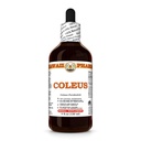 Coleus (Coleus Forskohlii) Dry Root Tincture, Made in Hawaii, All Natural, Vegan, Pure Liquid Extract - 4 fl.oz
