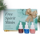 Apothékary Free Spirit minis Set QQ新版,草药液滴,包括葡萄酒下调,Rosé-Tinted Glass, Take The Edge Off & 1 Gold Spoon, Sugar Free, 3瓶, 15 每瓶服务