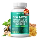 Sea Moss 补编 - 16-in-1 天然混合剂与黑种子油 Ashwagandha Burdock Bladderwrack 姜丹德利翁 - 150 Counter - Made & Tested in The USA