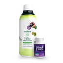 Univera 振兴和休息 Combo 包,用于增强健康, 自然能源为日, 深夜睡眠与 Xtra 聚焦和自然梦想