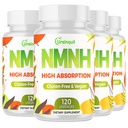 Sublingual NMNH 500mg (480-Day Supply, 500mg per Serving) NMNH(Dihydronicotinamide Mononucleotide)，NAD Supplement for NAD Levels as We Age, for Anti-Aging, Energy, Immunity, Focus - 480 Count
