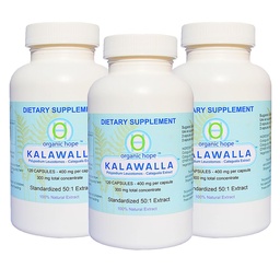 Organic Hope with Polypodium Leucotomos for Immune System Support, Highest Potency 50:1 Extract Ratio 400mg. (3 Pack - 360 Veggie Caps) Save $12