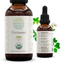 Chickweed B60 USDA 有机丁香 QQ无酒精提取,高概率草药滴 QQ认证有机丁香(Stellaria Media) 干草(2 oz)
