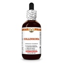 Collinsonia (Collinsonia Canadensis) Dry Root Tincture, Made in Hawaii, All Natural, Vegan, Pure Liquid Extract - 2 fl.oz