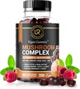 蘑菇 蘑菇 10 蘑菇 补充剂 - 2500mg - 土耳其 Tail, Chaga, Reishi, Cordyceps & Lions Mane 有机蘑菇 抽取剂 诺罗奇式大脑助推器 Focus, Memory, Clarity, Energy 60ct