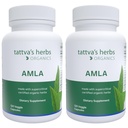Tattva's Herbs Superfruit Amla Supplement, Vitamin C Supplement, Amla Powder Capsules, Antioxidant Support, Gooseberry Supplement, 240 Count (2 Pack), 25 Years of Premium Service