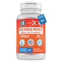 Genex公式 Berberine HCl 500mg(90 Capsules) - NSF认证安全性,质量性和标签准确性 - 支持免疫健康 - 非GMO, Gluten Free, 蔬菜