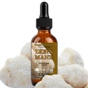 Lion’s Mane Mushroom Liquid Extract, High Potency, Alcohol Free, 60 Daily Doses for Brain Health
