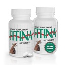 Brain Supplements for Memory and Focus with Vitamin B6 & Thiamine | High-Dose B Vitamins Nervous System and Cognitive Health Support, Daily Supplement Formula for Adults, 60 Tablets (2-Pack)