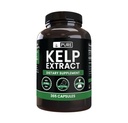 纯原始成份 Kelp 提取器(365 Capsules) 无镁或水稻填充器, 永远纯, 实验室验证