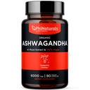 Vegan Capsules的有机Ashwagandha根提取物等于6 000 Mg Root-Ashwaganda男女补充物,每服务30名服务者为1 500 Mg-Per Vegan Capsule 90