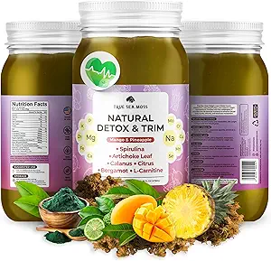 True SeaMoss Pro-Line Gel - Natural Detox/Trim - 5+ Flavors - 水果胶带Premium Sea Moss & Potassium - Vegan-Friendly - Vitamin & Mineral Rich 补充剂 - 在美国制造(芒果/菠萝,包装1)