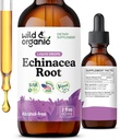 野生和有机的Echinacea Tincture - 用液态Echinacea根提取的免疫支持滴 - Angustifolia 补充剂 - Vegan,糖和无酒精 - 2 fl oz