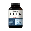 NatureBell DHEA 100mg - 240 capsules - DHEA 能源水平,免疫健康与健康老化支持补充 - 高度生物可用性* - 非GMO和Gluten Free