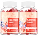 Plant Sterols Supplement with Plant Sterols & Stanols, Mixed Berry Flavor, 120 Counts