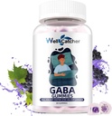 GABA Supplement Gummys 500mg:可口可乐 GABA L-Tenine Supplement Gummys 成人非梅拉托宁睡眠援助 冷静心智 5-HTP 压力救济 Zzz 更好无糖葡萄 Flavor 60CT