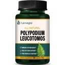 卡拉瓦拉根卡普勒斯(Kalawalla Root Capsules), Polypodium Leucotomos 提取补充支持免疫系统,皮肤健康,以及自由激进者防御, 持续3个月. 90 计数