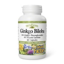 由自然因素构成的草药,Ginkgo Biloba,支持记忆、精神表现和健康脑功能,60个胶囊(60个服务)