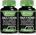 爱尔兰海蚊子 Capsules,17-in-1,海蚊子黑种子油,120 Counter, Ashwagandha Burdock Root Organic Bladderwrack Capsules 有机海蚊子高级,免疫和血压支持