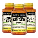 MASON 天然全草 姜 500 mg,6个月供应,天然草药补充,60 capsules(3包)