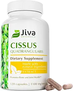 Cissus Quadrangularis Capsules 550 mg -- -- 正常骨保健和正常联合支助的高概率Cissus粉吸剂 -- -- 120 Capsules(包1)
