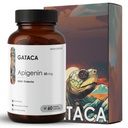 GATACA Apigenin 50 mg | Potent Flavonoid Sleep Support Supplement | Relaxation & Stress Relief | High Absorption Natural Extract | Vegan Non-GMO Capsules | 60 Veg Capsules