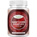 Hawthorn Berry Capsules - 纯抗氧化剂 Hawthorn Berry 配有 Leaf & Flower 摘录 4:1 心脏健康与文摘 - 男女能源支持 - 120 计数包