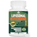 3250 MG Liposomal Glutathione补编,减少L-Glutathione与resveratrol,Quercetin,免疫系统抗氧化剂补编,Gluten Free & N-GMO,60 Capsules