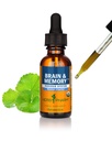 Herb Pharm Pharm Irganic Nootropic Brain & Memorial 配有 Ginkgo Biloba 液体提取:快速吸收用于精神重点支持, Ginkgo 补充, Vegan, Gluten-Free, 非 GMO, 1 Oz