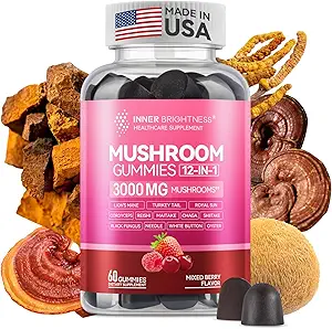 Reishi Mushroom Capsules, 配有 Cordyceps & Chaga Mushroom, Ashwagandha, 免疫健康、生命力、能量和焦点综合体, 60 Counter