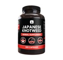 日本 Knotweed(365盖) 无镁或水稻填充器,永远纯净,实验室验证