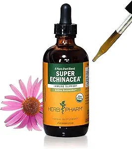 用于活性免疫系统支持的草药认证有机物超级艾奇纳西亚液体提取剂 - 4 Oz